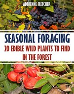 Seasonal Foraging: 20 Edible Wild Plants to Find In The Forest - Book Cover