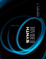 SYNTH: DIVIDED (The Synth Series Book 2) - Book Cover