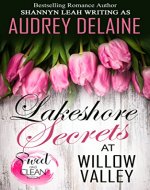 Lakeshore Secrets at Willow Valley (The McAdams Sisters at Willow Valley) - Book Cover