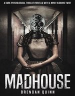 Madhouse: A Dark Psychological Thriller Novella With A Mind-Blowing Twist - Book Cover