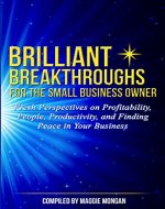 Brilliant Breakthroughs for the Small Business Owner: Fresh Perspectives on Profitability, People, Productivity, and Finding Peace in Your Business - Book Cover