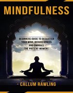 Mindfulness: Beginners Guide To Declutter Your Mind, Reduce Stress And Embrace The Present Moment (Mindfulness, Mindfulness For Beginners, Meditation, Mindfulness Practical Guide) - Book Cover