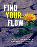 Find Your Flow: How to Get Wisdom and Knowledge from God - Book Cover