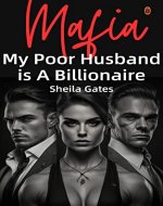 My Poor Husband is A Billionaire Mafia Volume 1: A Dark Mafia Enemies to Lovers Arranged Marriage Romance - Book Cover